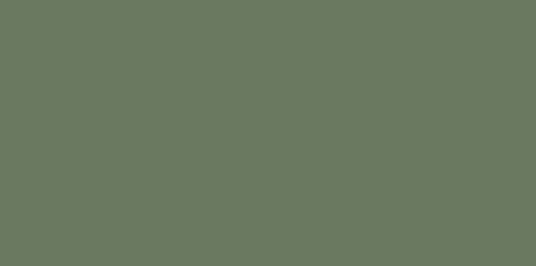 SAGE GREEN Snap Lock Color